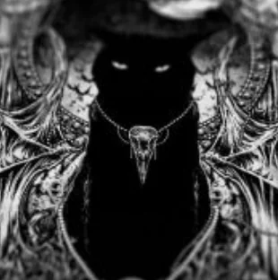 profile.banner_alt