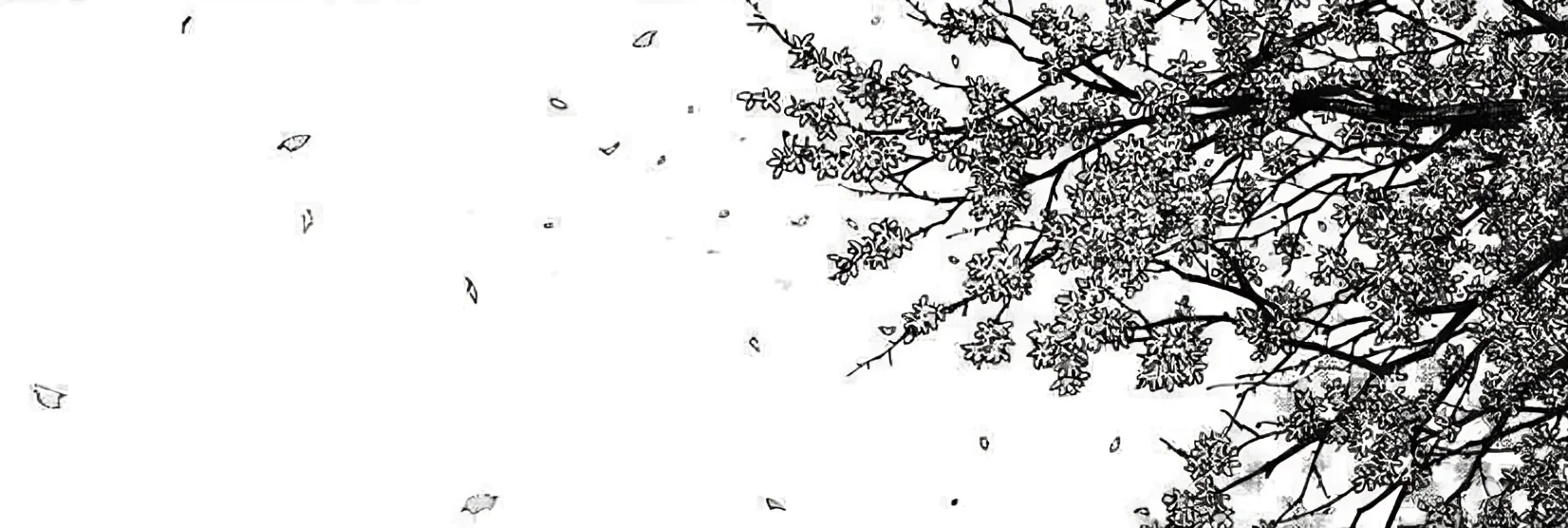 profile.banner_alt