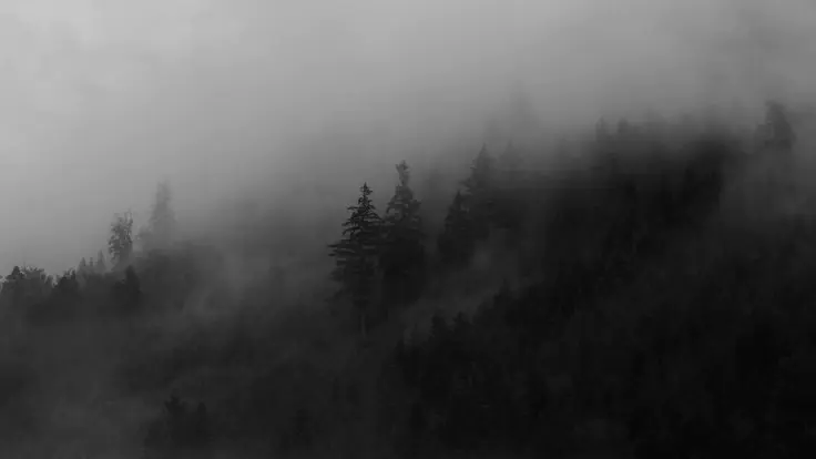 profile.banner_alt