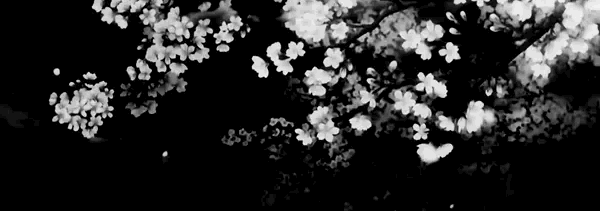 profile.banner_alt