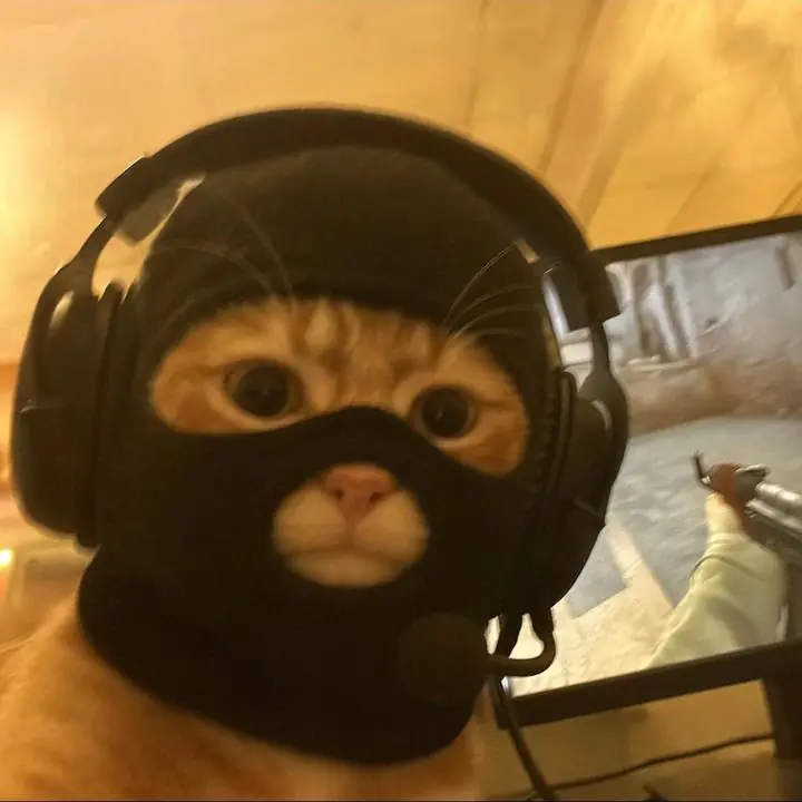 profile.banner_alt
