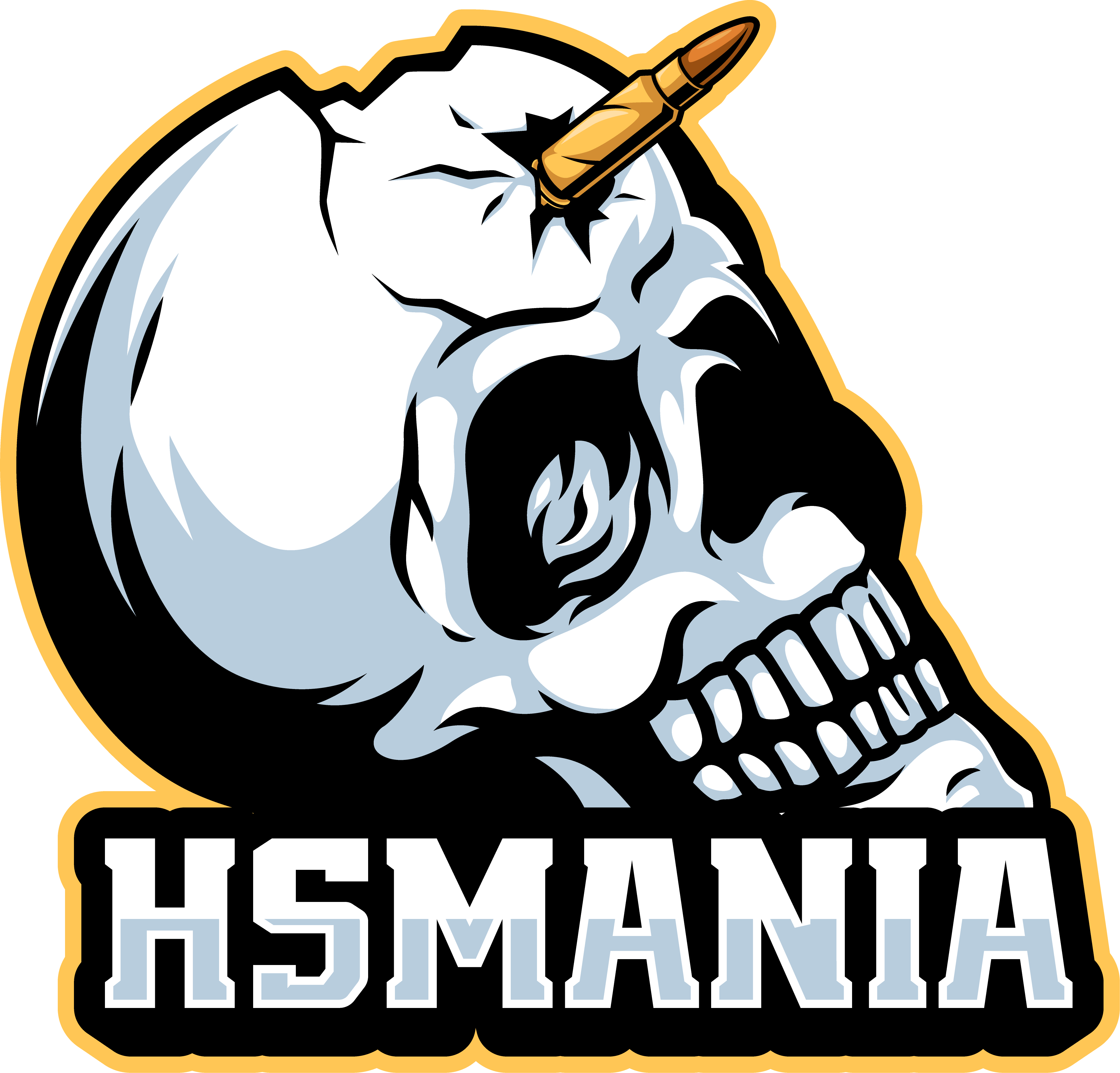 HSMANIA
