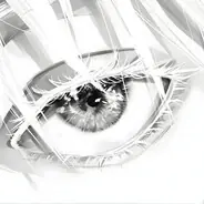 Lysy ProProPro