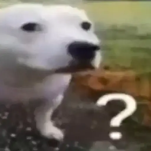 Whiteeed SKINS